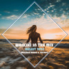 Waikiki in the Mix - August 2025 DJ mix artwork - Electronic music tracklist cover image