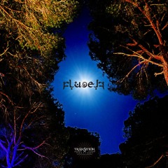 DJ Fluoelf - Transition 2024 Main (Nightpsy) May'24 Live Rec