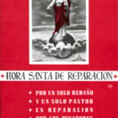 DOWNLOAD EPUB 📭 Hora Santa de Reparacion (Spanish Edition) by  Soul Assurance Prayer