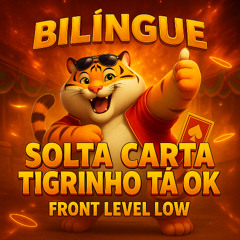 Bilíngue Solta Carta Tigrinho Ta ok - Front Level Low Remix