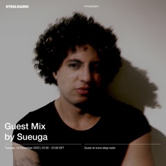 Stegi.Radio Guest Mix 19.12.2023