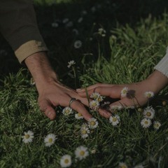 Thuyền Không Bến Đợi (Lofi ver Cheris) - anh như con thuyền không bến đợi..