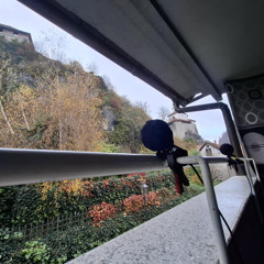 Morning in small town with close birds and chruch bells - Balcnoy and Sennheiser MKH8020