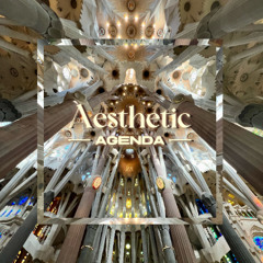 Aesthetic Agenda 009 mixed by Bek