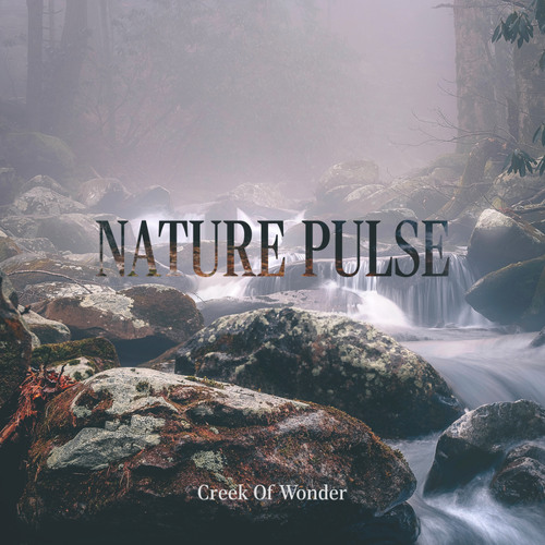 Creek Of Wonder (Meditation)