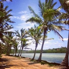 Voqa Kei Munia - DODOMO CALA