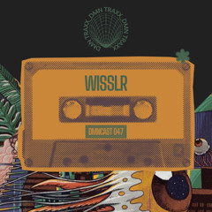 DMNCAST 047 - WISSLR