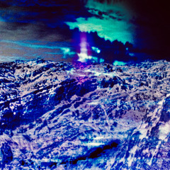 9- Nautilus