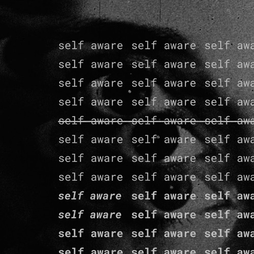 self aware (remix)