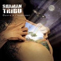 Duel / SHAMAN TRIBU