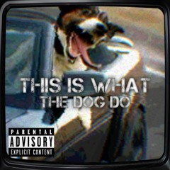 What The Dog Doin (The Song)
