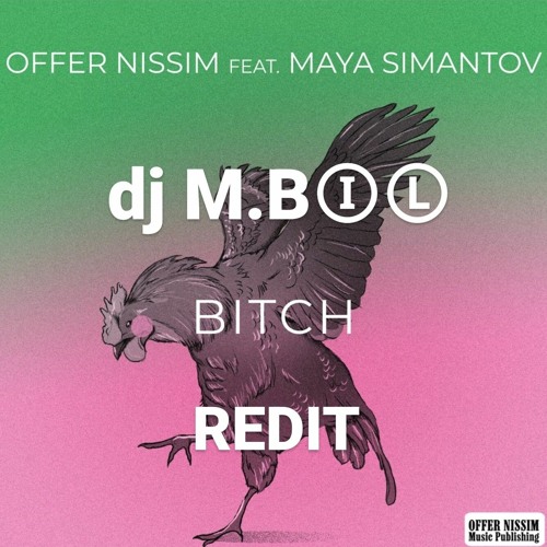 Offer Nissim Feat Maya Simantov - Bitch(  dj Moshe Barkan CHARAVOT BARZEL WAR Edit)