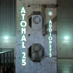 Audiopets @ Radio Z Atonal 2025 Review