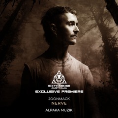 PREMIERE: Joonmack - Nerve (Original Mix) [Alpaka Muzik]