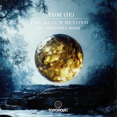 The Realm Beyond (Deciduous Remix)