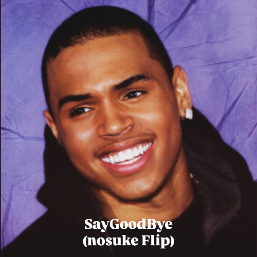 SayGoodBye (nosuke Flip)
