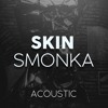 skin-rag-n-bone-man-acoustic-cover-smonka
