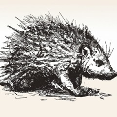 Porcupine