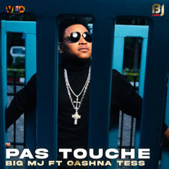 Pas touche (feat. Oashna Tess)