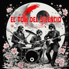 ALMA DE PLASTICO-