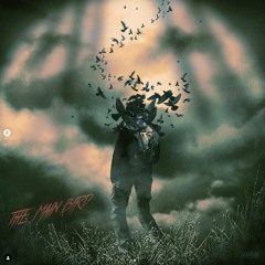 the main bird