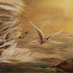 Storm (collab with Siddhartha Biswas)