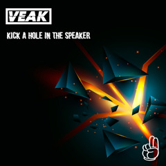 Kick A Hole In The Speaker