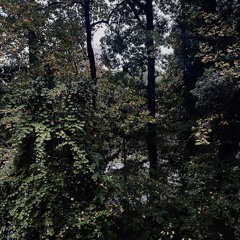 Seen (prod. cxka)