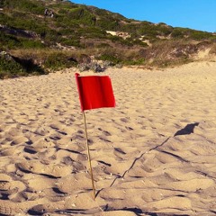 Red Flag
