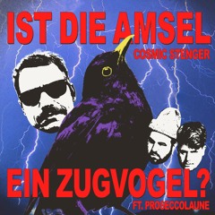 Ist Die Amsel Ein Zugvogel (feat. Proseccolaune)