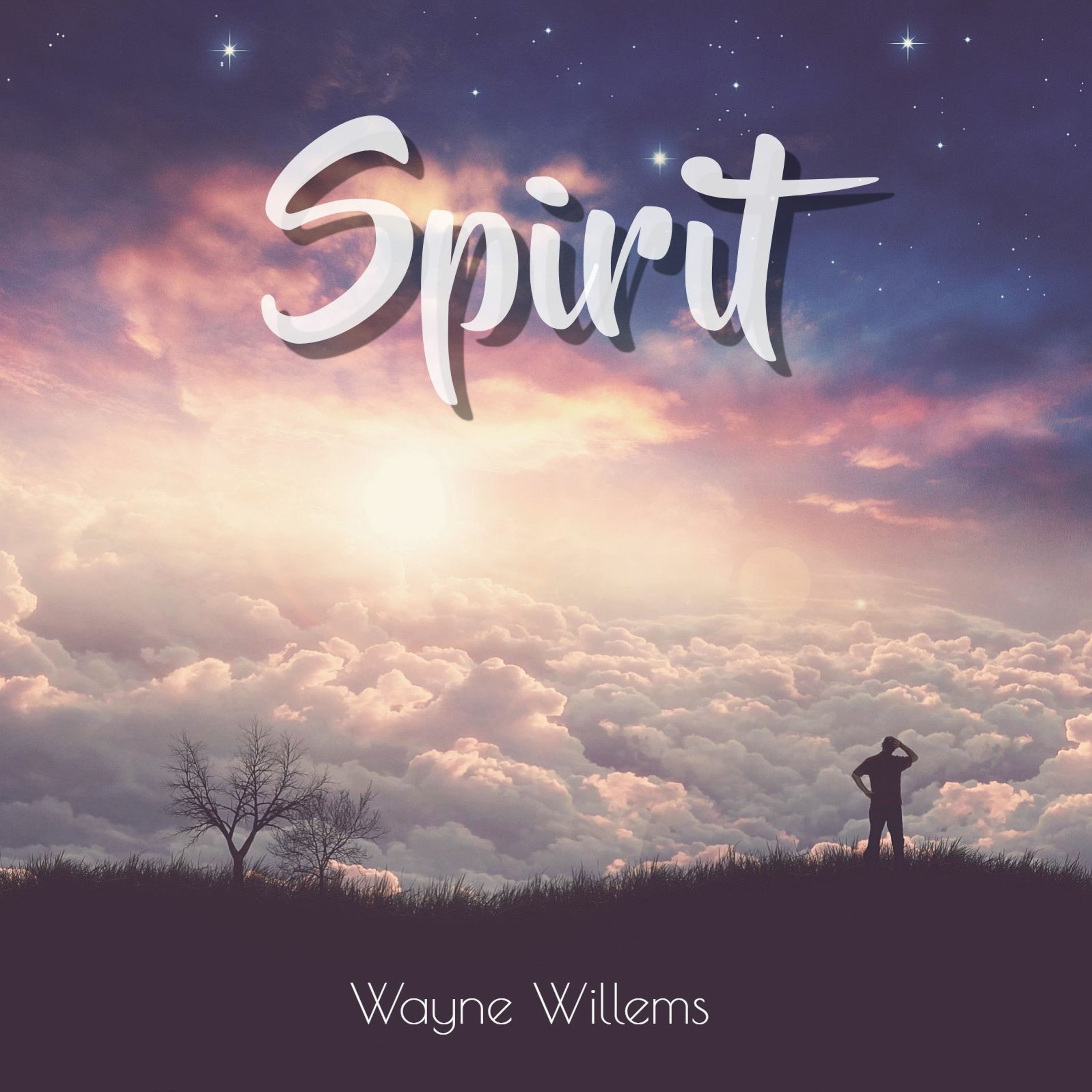 Wayne Willems