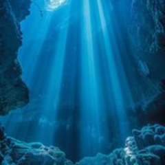 Cisco - Diving in the deep blue