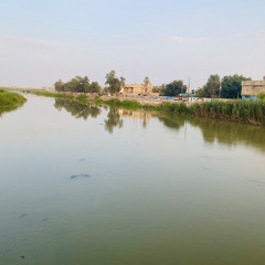 حسين نعمة - غريبة  الروح