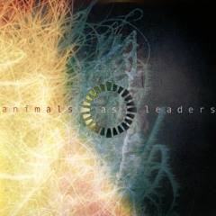 Animals as Leaders - On Impulse (Rhodes cover)