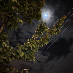 مادريت ان القمر مثله قمر .. لين شفتك