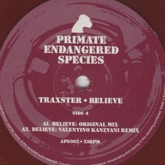 Traxster - Believe (Valentino Kanzyani Remix)