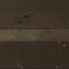 TE AMO TODAVÍA (prod. eeryskies)