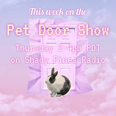 Pet Door Show #3 (08/27/20) w/ Hannah Werdmuller on Shady Pines Radio