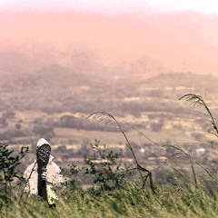 PREMIERE: Guesthouse - Grates