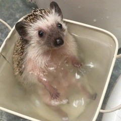 complete concentration