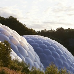 Eden Project - dawn chorus