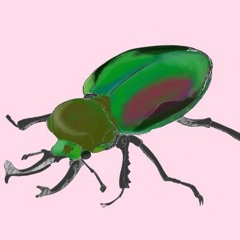 Hey, Who Really Cares? - Linda Perhacs (cover)