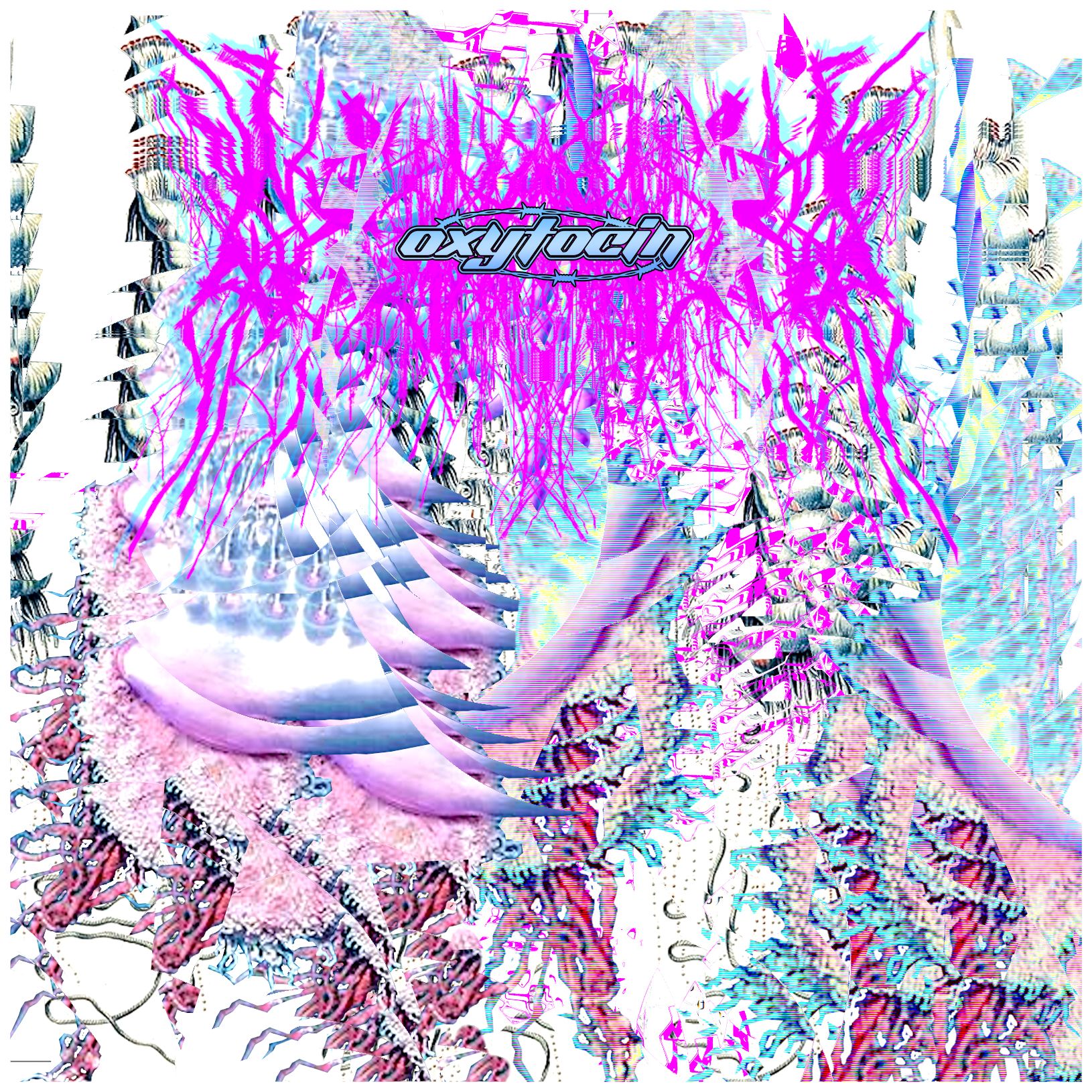 tamarawrx3 – Can she get it?