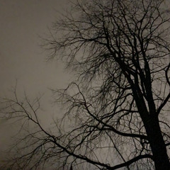 Lil Rashy x Lil Lane - can u talk with me? (prod. Damn $on)