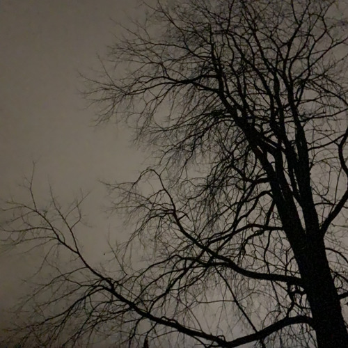 Lil Rashy x Lil Lane - can u talk with me? (prod. Damn $on)