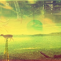 Oränge Tree - Diamond