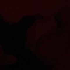 JanceLucky??? - Maybe Love Is Not For Me (Official Audio) (Prod. numb) ?