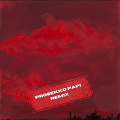 Doja Cat - Paint The Town Red (Prosekko Papi Remix)