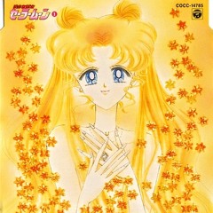 Sailor Moon Music Collection 1