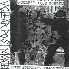 Nuclear Post Mortem - Burnt Authority, Hollow Future And Other Stories